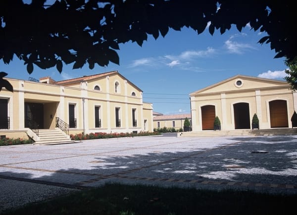 Château Bertinerie, Château / Domaine, CUBNEZAIS, France